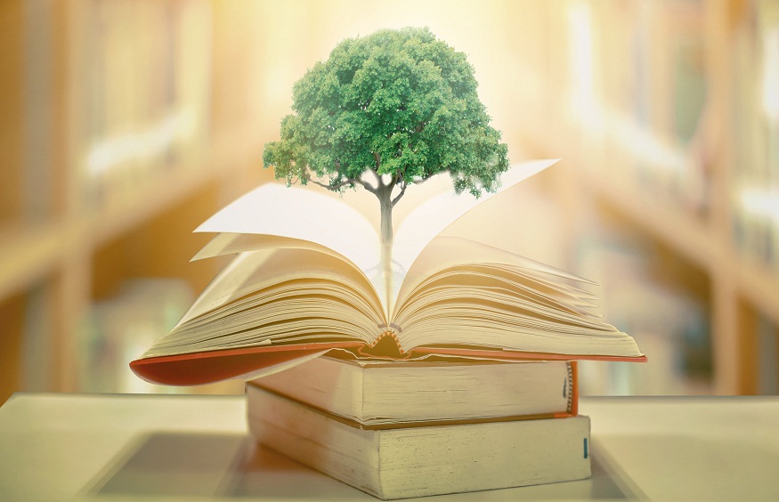 Sustainable Education: How Go Education’s Technology Supports Eco-Friendly Learning Environments