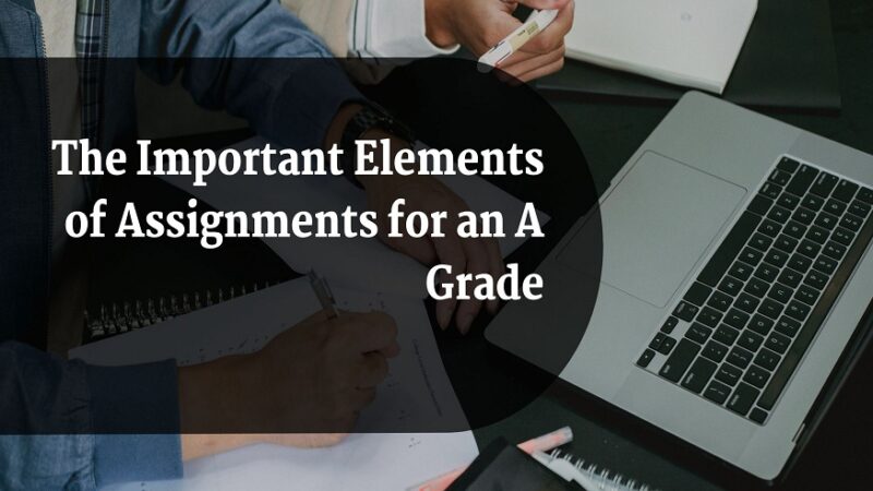 assignment help